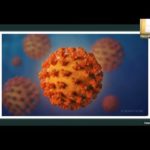 Imagen del webinar: Doce leocciones para periodistas científicos sobre la pandemia de COVID-19, evento organizado por Fundación Gabo